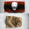 Parametric Wall Art Design - Lioness