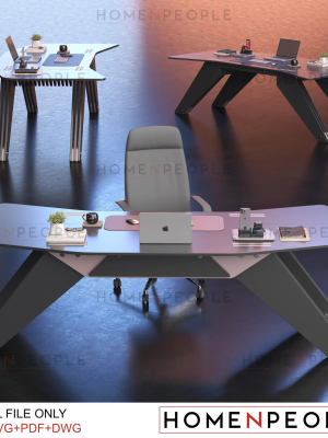 Workstation Desk